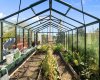 Green house