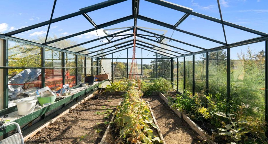 Green house