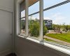 View from Primary
