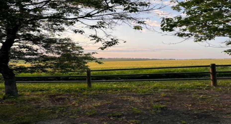 Northerly View