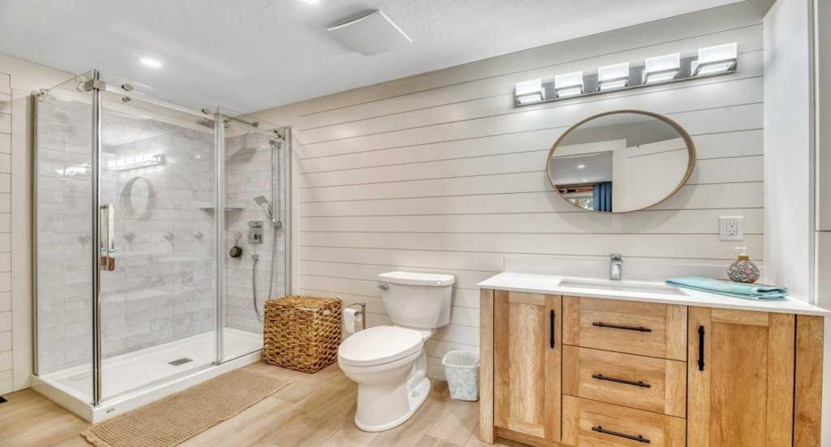 Shared Basement Washroom