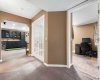 French Doors & Regular Door Entry to Basement Bedroom