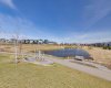 Walking path and pond