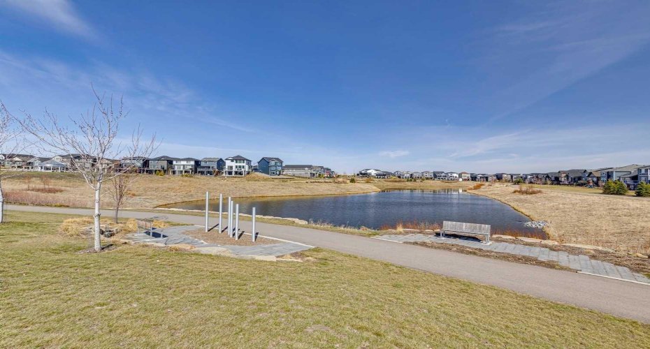 Walking path and pond
