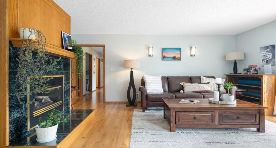 Gas Fireplace- Main