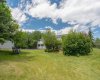 Backyard- Fruit Trees