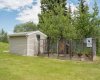 Chicken Coop