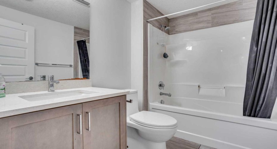 Basement bathroom