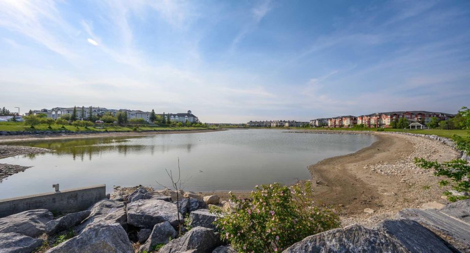 Community Pond