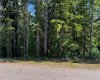 Treed reserve across road