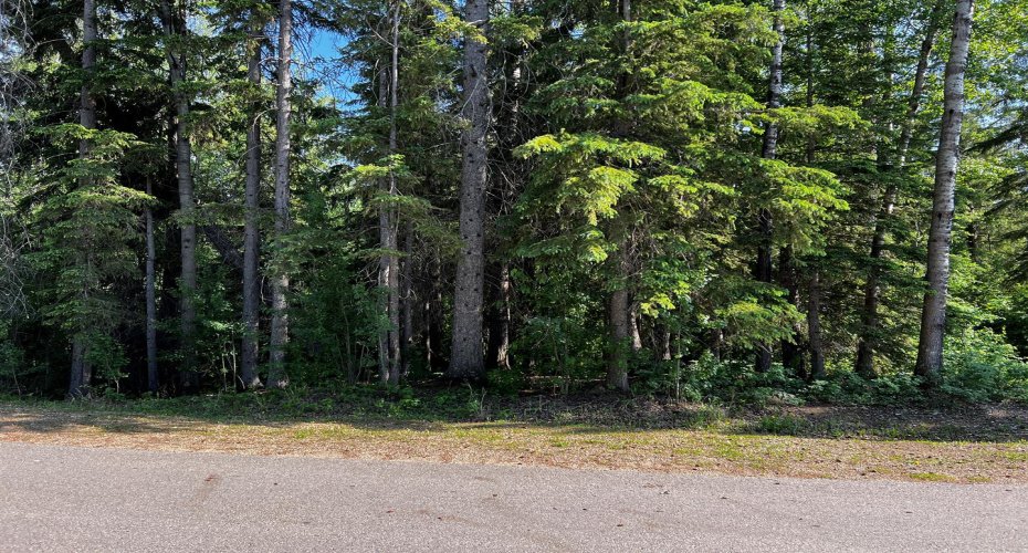 Treed reserve across road