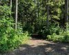 10032 Township Road 422, Rural Ponoka County, Alberta T4J 1V9, 0 , 0 ,0,Land,For Sale,Township Road 422,0,A2326774