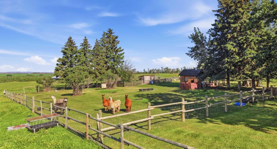 41416 Range Road 34, Rural Lacombe County, Alberta T0C 2J0, 6 Bedroom Bedrooms, 0 ,4 BathroomBathrooms,Residential,For Sale,Range Road 34,0,A2326801