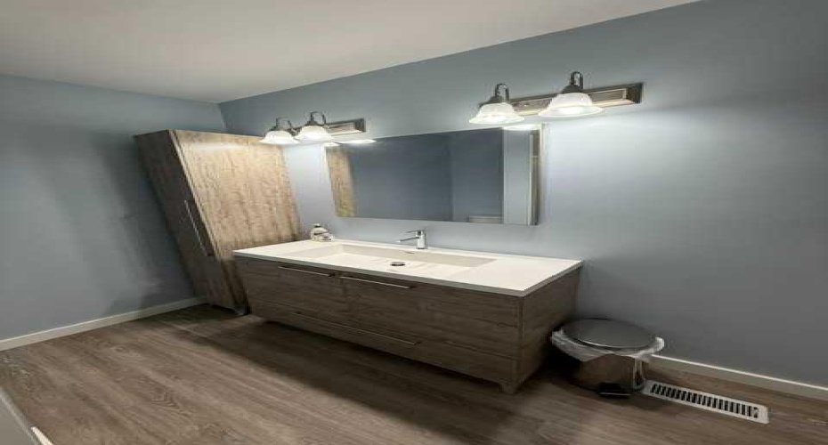 New vanity & free standing linen closet in main bath