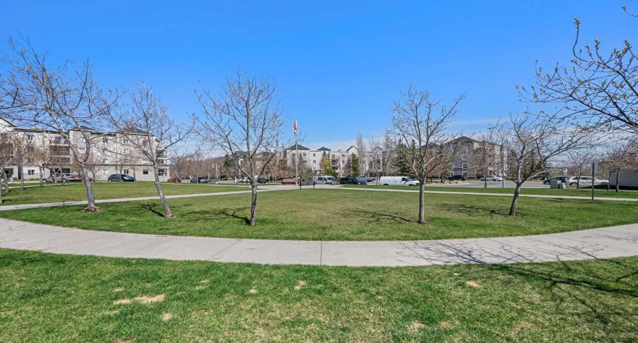 Greenspace in front of the building