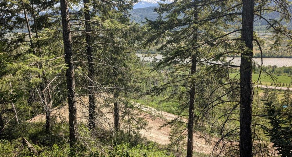 3483 Highway 95, Out of Province_Alberta, British Columbia V0A 1A4, 0 , 0 ,0,Land,For Sale,Highway 95,0,A2322095