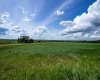 NE-8-50-36-4, Rural Minburn No. 27, County of, Alberta T0B3B0, 0 , 0 ,0,Land,For Sale,NE-8-50-36-4,0,A2325255