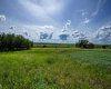 NE-8-50-36-4, Rural Minburn No. 27, County of, Alberta T0B3B0, 0 , 0 ,0,Land,For Sale,NE-8-50-36-4,0,A2325255