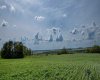 NE-8-50-36-4, Rural Minburn No. 27, County of, Alberta T0B3B0, 0 , 0 ,0,Land,For Sale,NE-8-50-36-4,0,A2325255