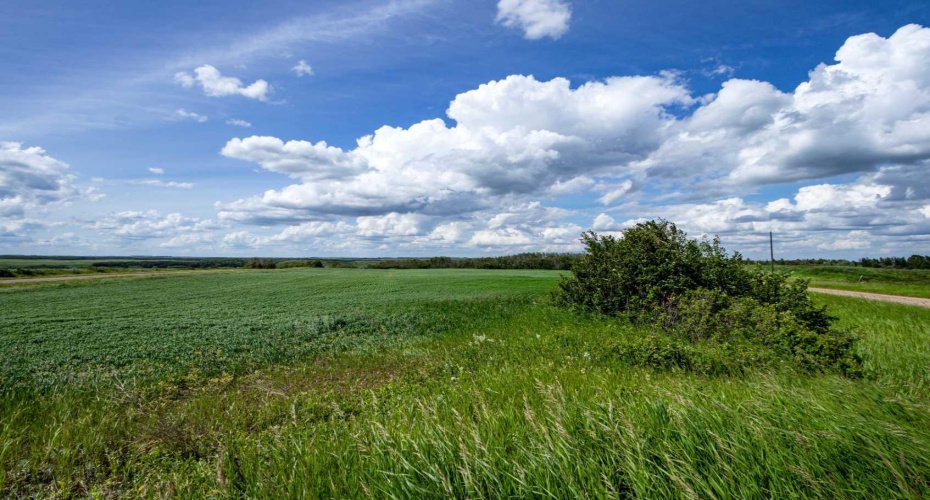 NE-8-50-36-4, Rural Minburn No. 27, County of, Alberta T0B3B0, 0 , 0 ,0,Land,For Sale,NE-8-50-36-4,0,A2325255