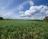 NE-8-50-36-4, Rural Minburn No. 27, County of, Alberta T0B3B0, 0 , 0 ,0,Land,For Sale,NE-8-50-36-4,0,A2325255