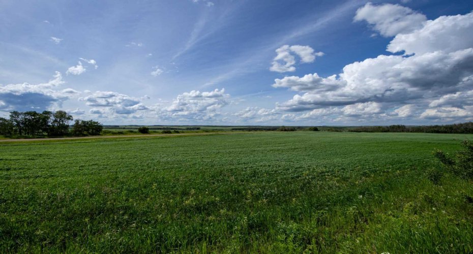 NE-8-50-36-4, Rural Minburn No. 27, County of, Alberta T0B3B0, 0 , 0 ,0,Land,For Sale,NE-8-50-36-4,0,A2325255
