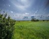 NE-8-50-36-4, Rural Minburn No. 27, County of, Alberta T0B3B0, 0 , 0 ,0,Land,For Sale,NE-8-50-36-4,0,A2325255