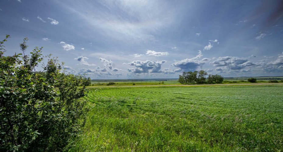NE-8-50-36-4, Rural Minburn No. 27, County of, Alberta T0B3B0, 0 , 0 ,0,Land,For Sale,NE-8-50-36-4,0,A2325255