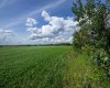 NE-8-50-36-4, Rural Minburn No. 27, County of, Alberta T0B3B0, 0 , 0 ,0,Land,For Sale,NE-8-50-36-4,0,A2325255
