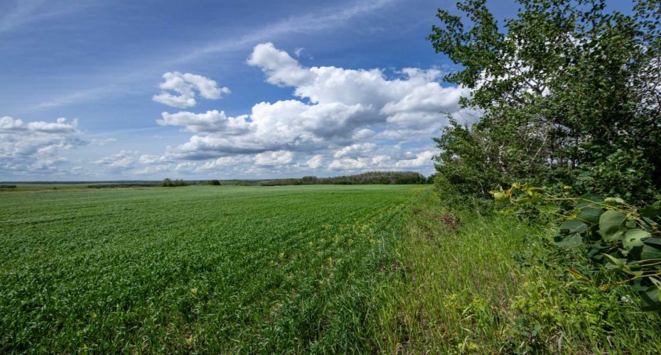 NE-8-50-36-4, Rural Minburn No. 27, County of, Alberta T0B3B0, 0 , 0 ,0,Land,For Sale,NE-8-50-36-4,0,A2325255