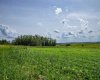 NE-8-50-36-4, Rural Minburn No. 27, County of, Alberta T0B3B0, 0 , 0 ,0,Land,For Sale,NE-8-50-36-4,0,A2325255