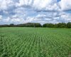 NE-8-50-36-4, Rural Minburn No. 27, County of, Alberta T0B3B0, 0 , 0 ,0,Land,For Sale,NE-8-50-36-4,0,A2325255