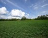 NE-8-50-36-4, Rural Minburn No. 27, County of, Alberta T0B3B0, 0 , 0 ,0,Land,For Sale,NE-8-50-36-4,0,A2325255