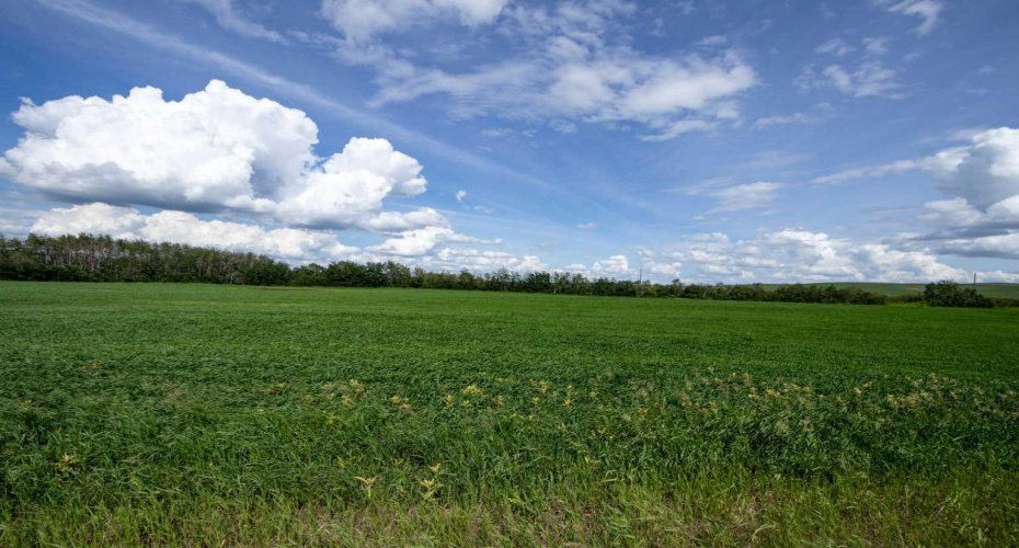 NE-8-50-36-4, Rural Minburn No. 27, County of, Alberta T0B3B0, 0 , 0 ,0,Land,For Sale,NE-8-50-36-4,0,A2325255