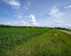 NE-8-50-36-4, Rural Minburn No. 27, County of, Alberta T0B3B0, 0 , 0 ,0,Land,For Sale,NE-8-50-36-4,0,A2325255