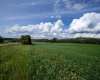 NE-8-50-36-4, Rural Minburn No. 27, County of, Alberta T0B3B0, 0 , 0 ,0,Land,For Sale,NE-8-50-36-4,0,A2325255