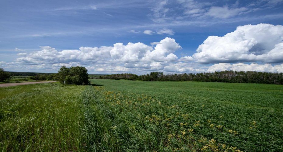 NE-8-50-36-4, Rural Minburn No. 27, County of, Alberta T0B3B0, 0 , 0 ,0,Land,For Sale,NE-8-50-36-4,0,A2325255