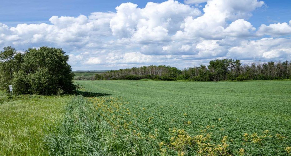 NE-8-50-36-4, Rural Minburn No. 27, County of, Alberta T0B3B0, 0 , 0 ,0,Land,For Sale,NE-8-50-36-4,0,A2325255