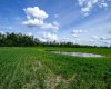 NE-8-50-36-4, Rural Minburn No. 27, County of, Alberta T0B3B0, 0 , 0 ,0,Land,For Sale,NE-8-50-36-4,0,A2325255