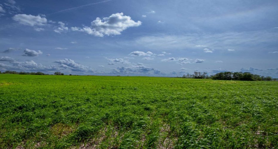 NE-8-50-36-4, Rural Minburn No. 27, County of, Alberta T0B3B0, 0 , 0 ,0,Land,For Sale,NE-8-50-36-4,0,A2325255