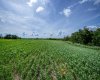 NE-8-50-36-4, Rural Minburn No. 27, County of, Alberta T0B3B0, 0 , 0 ,0,Land,For Sale,NE-8-50-36-4,0,A2325255
