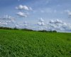 NE-8-50-36-4, Rural Minburn No. 27, County of, Alberta T0B3B0, 0 , 0 ,0,Land,For Sale,NE-8-50-36-4,0,A2325255