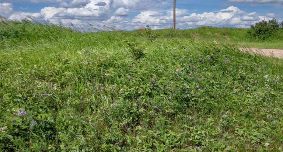 NE-8-50-36-4, Rural Minburn No. 27, County of, Alberta T0B3B0, 0 , 0 ,0,Land,For Sale,NE-8-50-36-4,0,A2325255