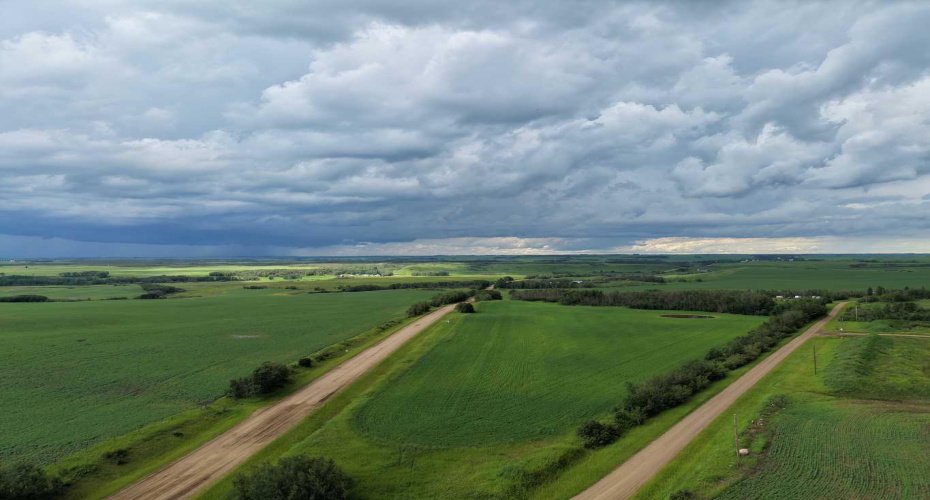 NE-8-50-36-4, Rural Minburn No. 27, County of, Alberta T0B3B0, 0 , 0 ,0,Land,For Sale,NE-8-50-36-4,0,A2325255