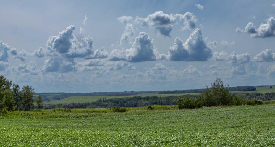 NE-8-50-36-4, Rural Minburn No. 27, County of, Alberta T0B3B0, 0 , 0 ,0,Land,For Sale,NE-8-50-36-4,0,A2325255