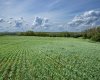 NE-8-50-36-4, Rural Minburn No. 27, County of, Alberta T0B3B0, 0 , 0 ,0,Land,For Sale,NE-8-50-36-4,0,A2325255