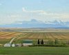 6032 Range Road 28-0 Range, Rural Pincher Creek No. 9, M.D. of, Alberta T0K 1W0, 5 Bedroom Bedrooms, 0 ,3 BathroomBathrooms,Residential,For Sale,Range Road 28-0,0,A2326406
