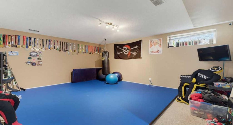 Versatile lower-level recreation room offering the perfect space for a family room, home gym or playroom.