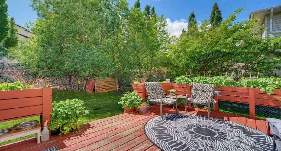West backing yard- perfect place to enjoy the sunshine.
