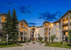 1717 60 Street, Calgary, Alberta T2A 7Y7, 1 Bedroom Bedrooms, 0 ,1 BathroomBathrooms,Residential,For Sale,60,0,A2326434